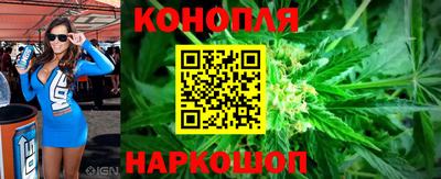 прущие грибы Абакан