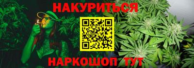 прущие грибы Абакан