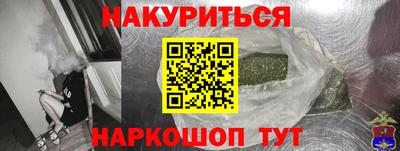 прущие грибы Абакан