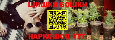 прущие грибы Абакан