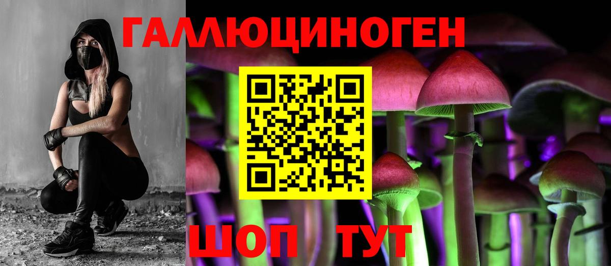 Псилоцибиновые грибы Magic Shrooms  Псилоцибиновые грибы MAGIC MUSHROOMS  Россия  Вход с VPN 